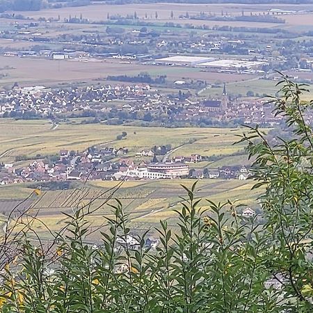 Rorschwihr Sur La Route Du Vin 빌라 외부 사진