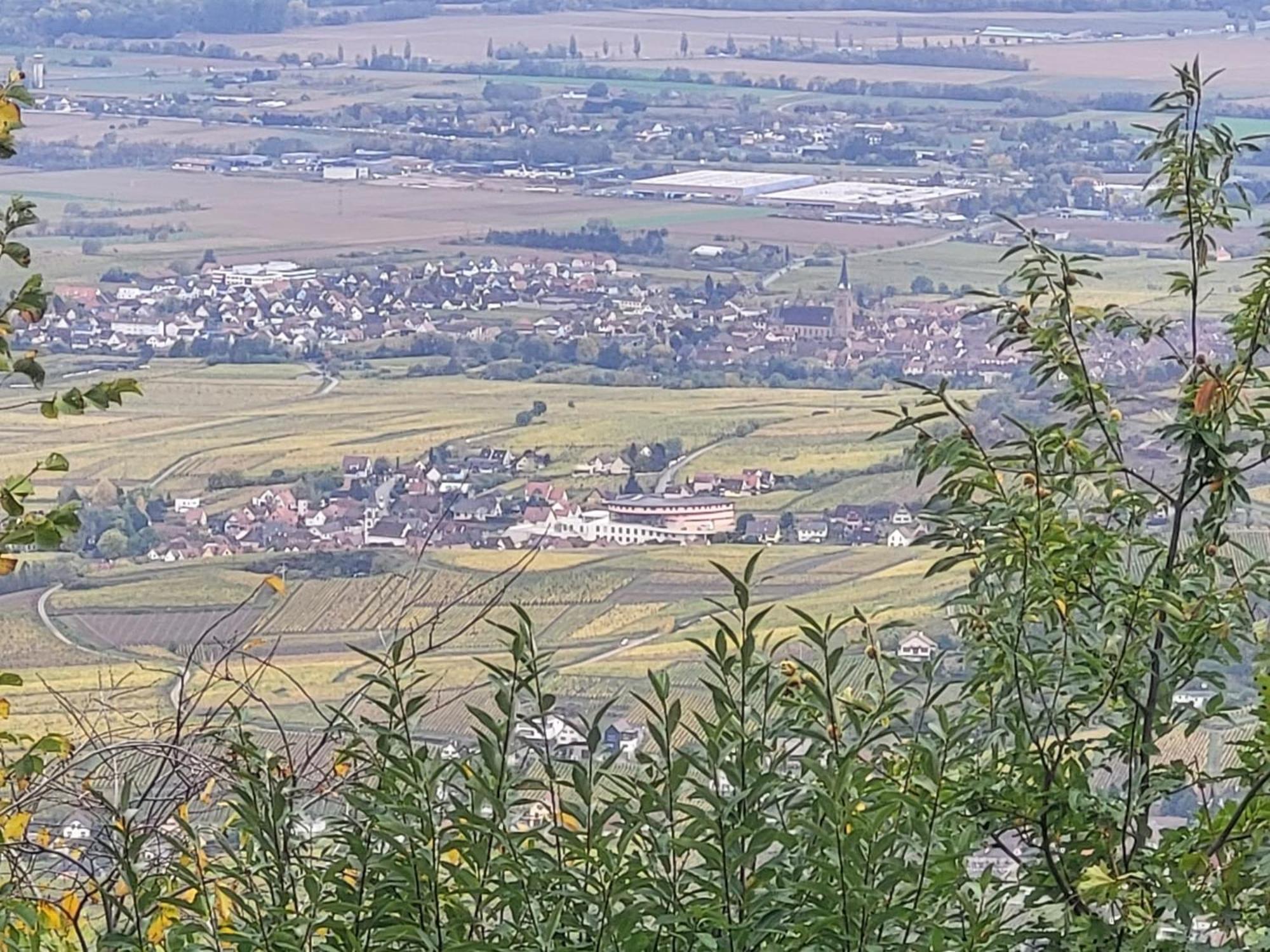 Rorschwihr Sur La Route Du Vin 빌라 외부 사진